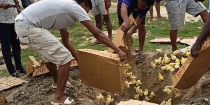 पर्सा