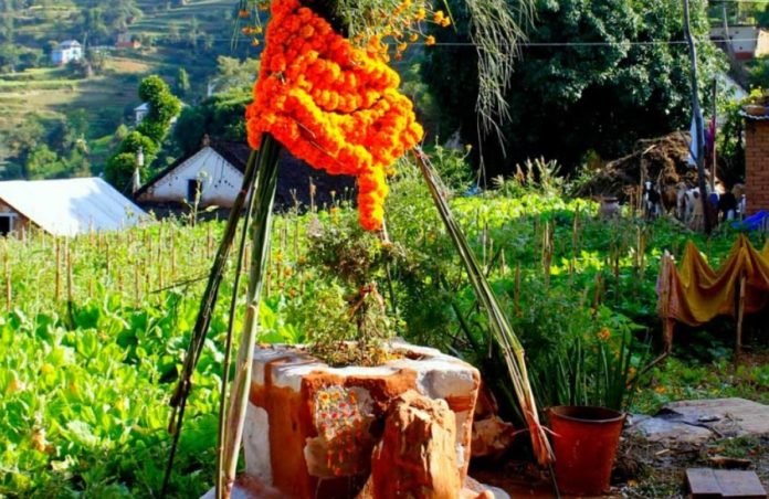 CREATOR: gd-jpeg v1.0 (using IJG JPEG v80), quality = 90