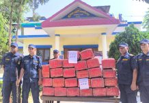 पर्साबाट ३७० केजी गाँजा बरामद